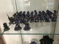 IMG 5677