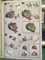 IMG 5328