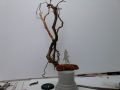 DSC 0043