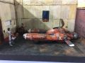 IMG 5783