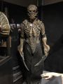 IMG 4903 15 01 2018