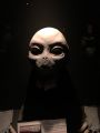 IMG 4909 15 01 2018