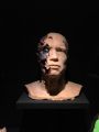 IMG 4910 15 01 2018