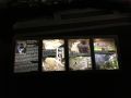 IMG 4920 15 01 2018