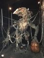IMG 4935 15 01 2018