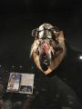 IMG 4943 15 01 2018
