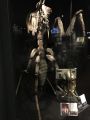 IMG 4945 15 01 2018