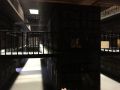 IMG 4971 15 01 2018