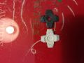 IMG 4322