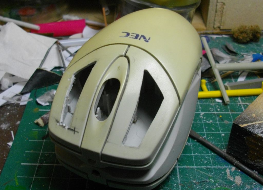 IMGP4319