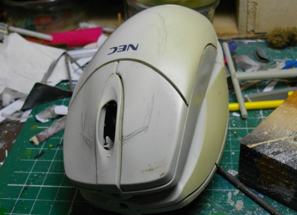 IMGP4320