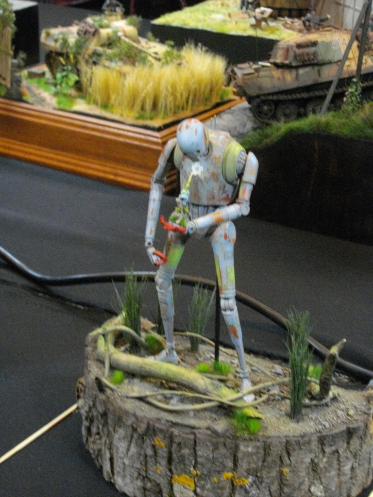IMGP6213 1