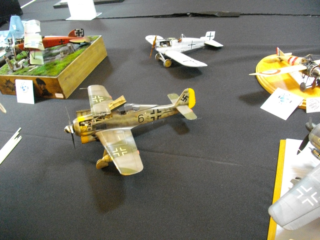 IMGP6323 1