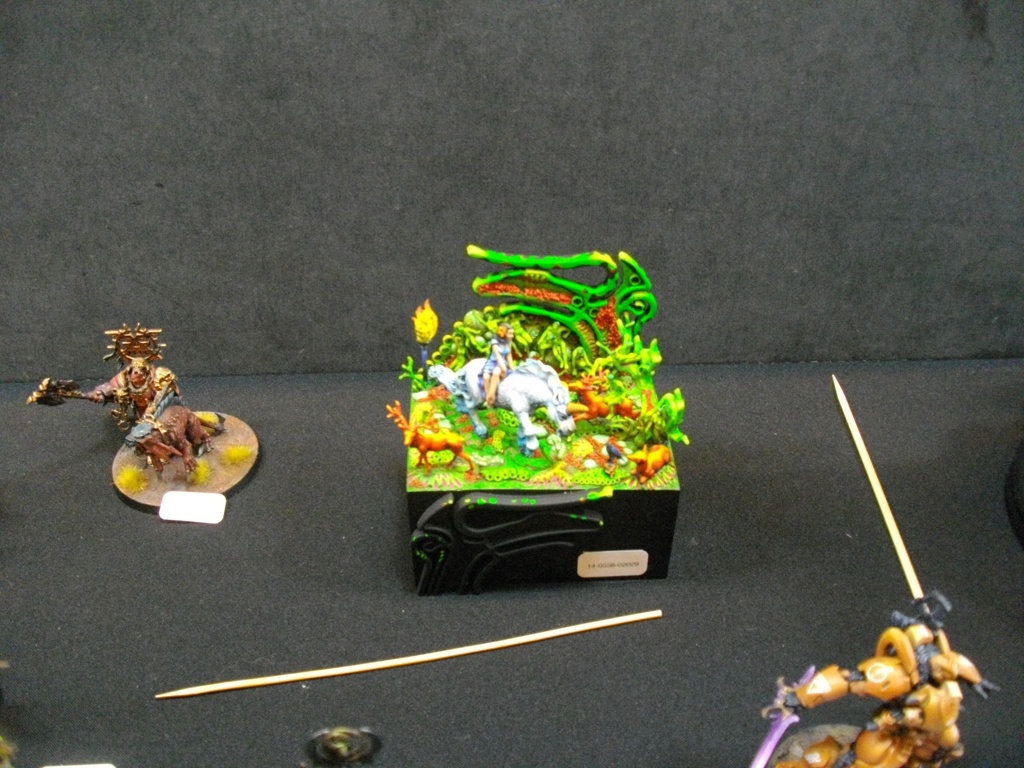 IMGP6419 1