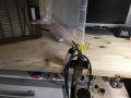 IMG 5642