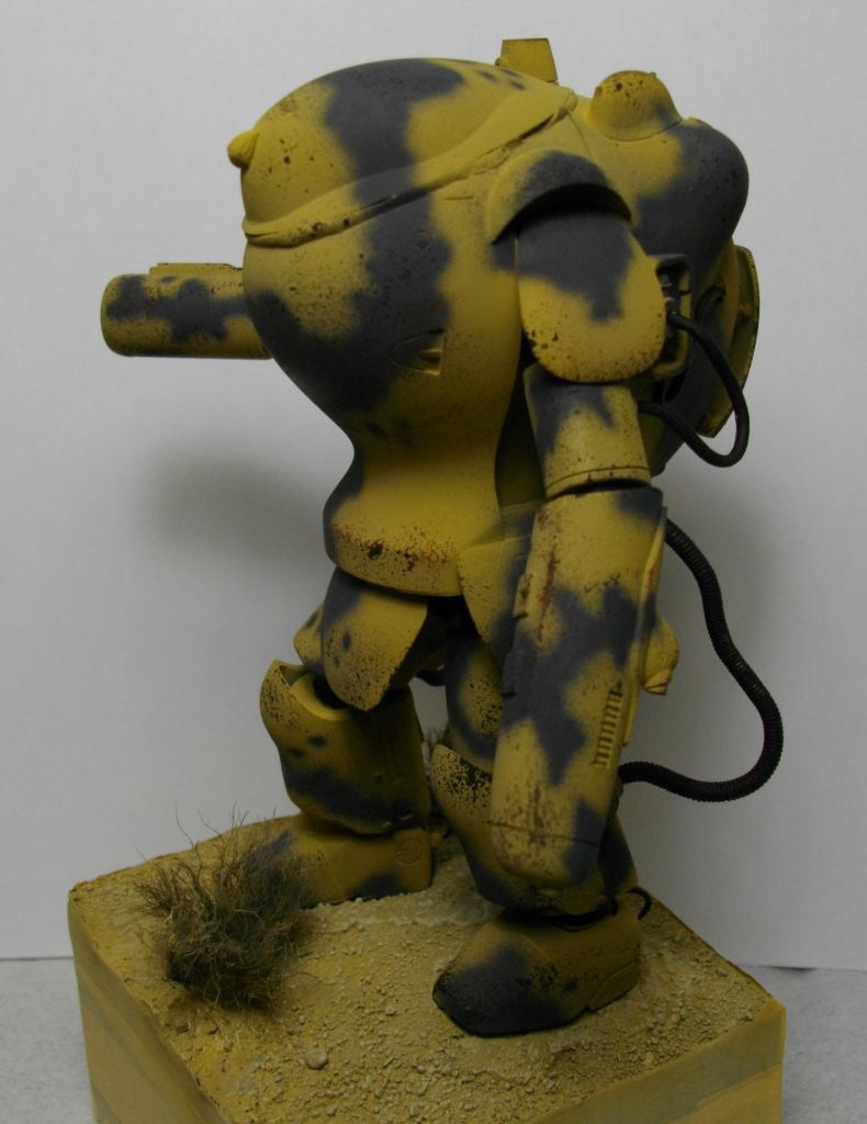 IMGP3873