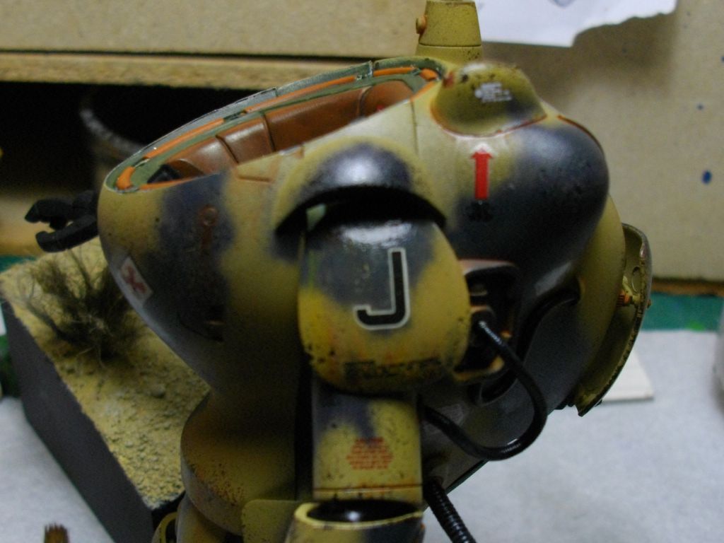 IMGP3882