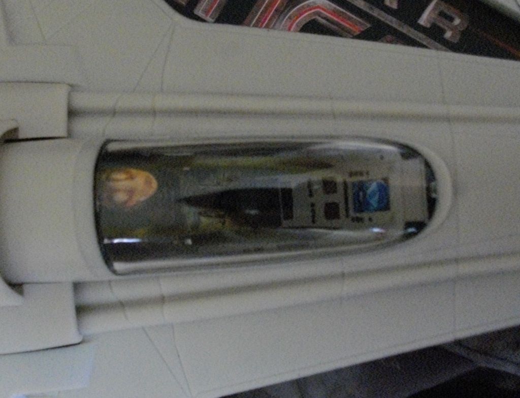 IMGP3104