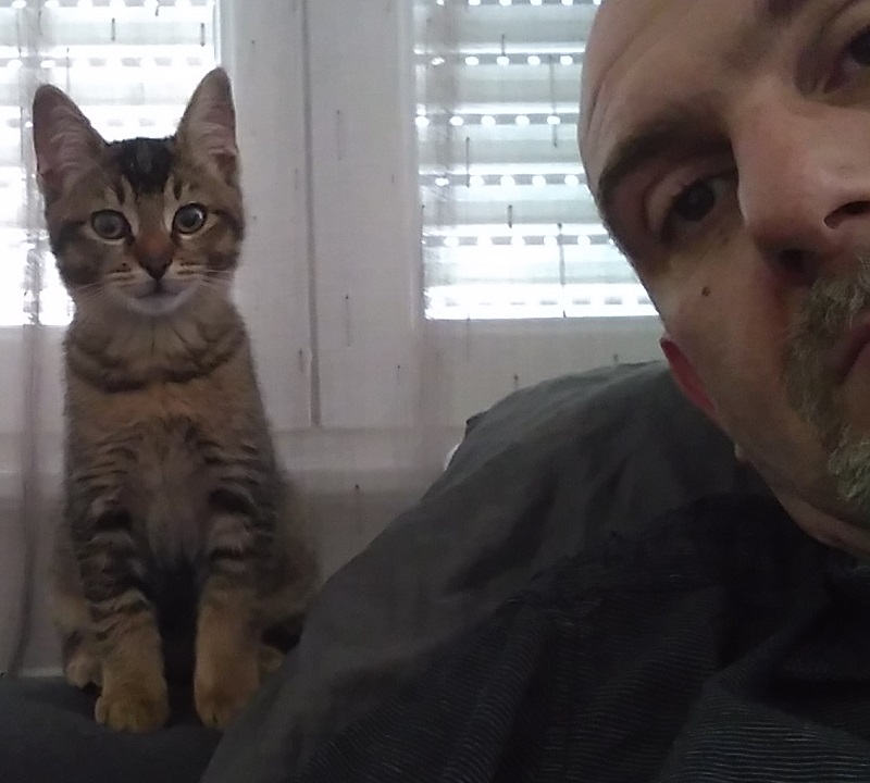 IMG 20171014 160338