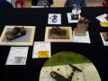 IMG 20180225 123239